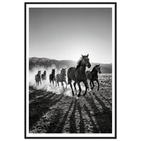 No Fences shown on its own — second framed print in the Wranglers set
